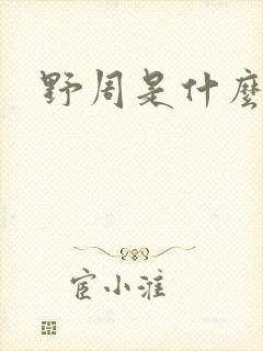 野周是什么意思