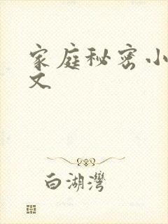家庭秘密小说全文