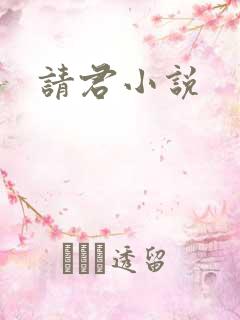 请君小说