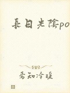 长日光阴po