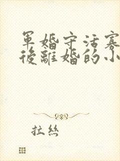 军婚守活寡重生后离婚的小说