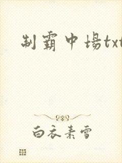 制霸中场txt
