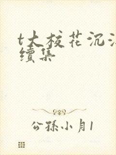 t大校花沉浮录续集