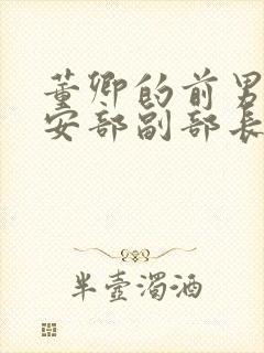 董卿的前男友公安部副部长