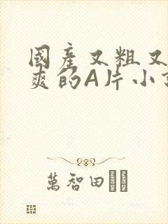 国产又粗又黄又爽的A片小说