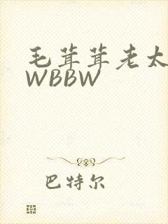 毛茸茸老太BBWBBW