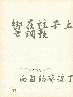 绑在柱子上用毛笔调教