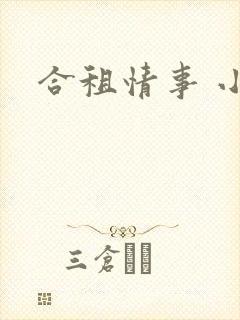 合租情事 小说
