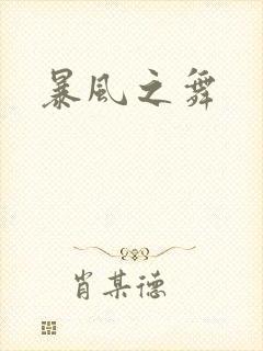 暴风之舞