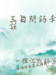 三日间的幸福小说