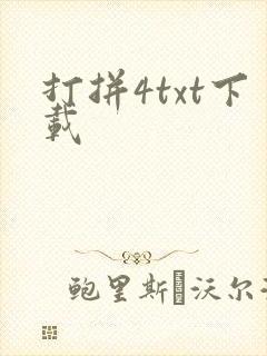 打拼4txt下载