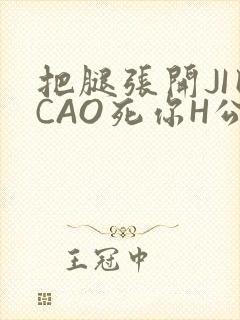 把腿张开JI巴CAO死你H公园