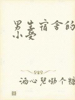 男生宿舍的公共小受