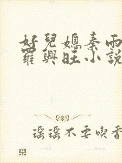 好儿媳秦雨罗明罗兴旺小说