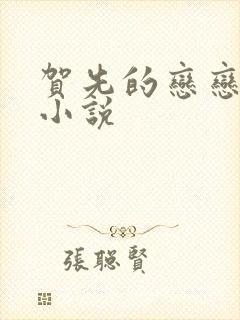 贺先的恋恋不忘小说