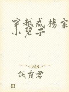 穿越成杨家将最小儿子