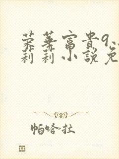 荣华富贵9小王莉莉小说免费阅读