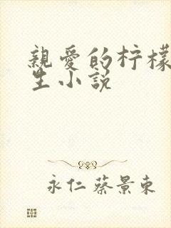 亲爱的柠檬精先生小说