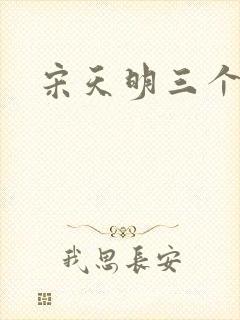 宋天明三个婆娘