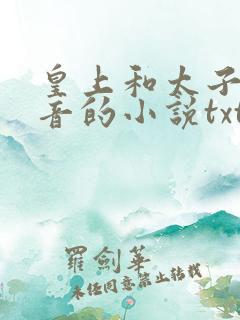 皇上和太子妃沈音的小说txt