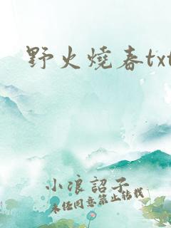 野火烧春txt