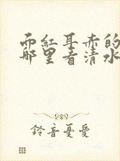 面红耳赤的小说哪里看清水村花