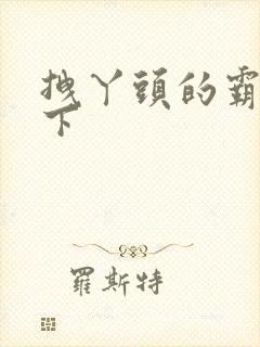 拽丫头的霸道殿下