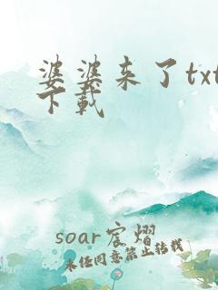 婆婆来了txt下载