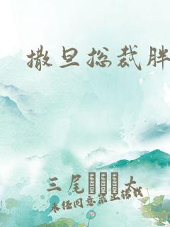 撒旦总裁胖前妻