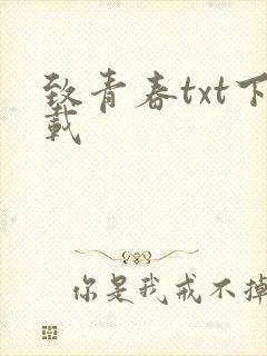 致青春txt下载