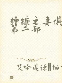 糟糠之妻俱乐部第二部