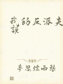 我的反派夫君小说