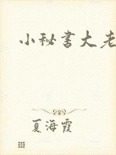 小秘书大老婆