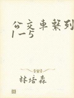 公交车系列合集1一5