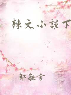 辣文小说下载
