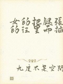 女的把腿张开男的往里面插