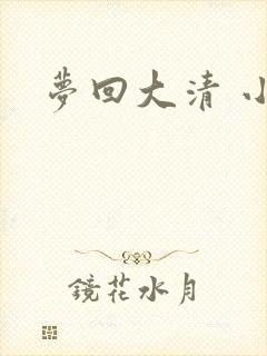 梦回大清 小说