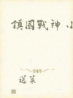 镇国战神 小说