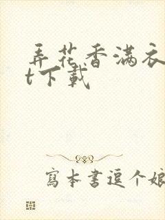 弄花香满衣txt下载