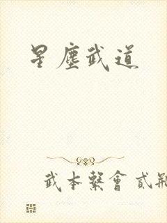 星尘武道