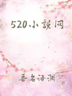 520小说网
