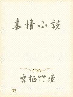 基情小说