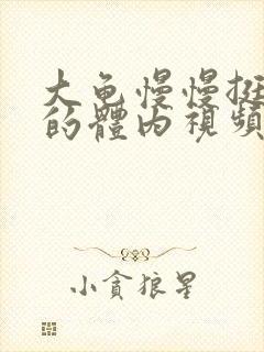 大龟慢慢挺进我的体内视频