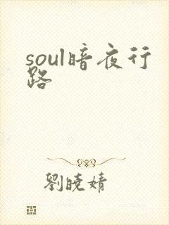 soul暗夜行路
