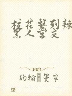 校花系列辣h文黑人宫交