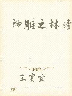 神雕之林清传