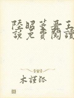 陆昭菱晋王的小说免费阅读