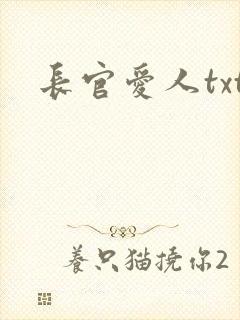 长官爱人txt