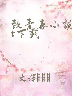 致青春小说txt下载