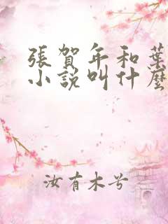 张贺年和叶繁姿小说叫什么名字